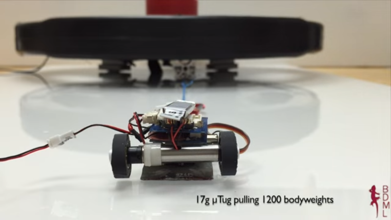 Quand un micro robot tire jusqu’à 2000 fois son poids…