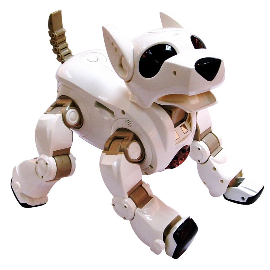 Aibo : chien robot… à la vie à la mort ! - Actualité - Chien