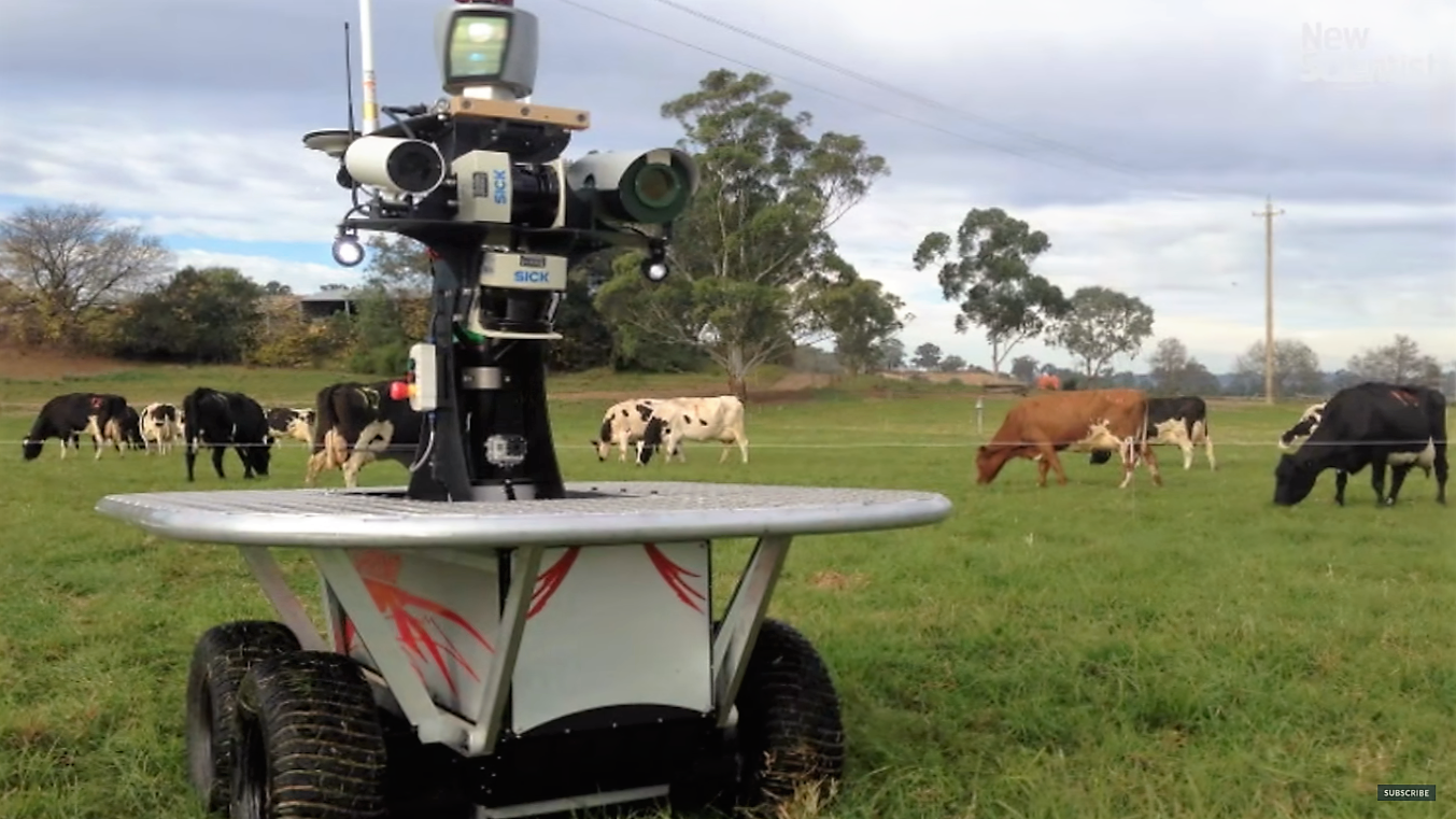 Un robot berger bientôt dans les prés !