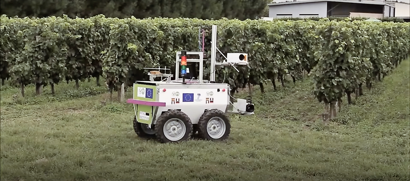 VineRobot contrôle les vignes pour une meilleure qualité