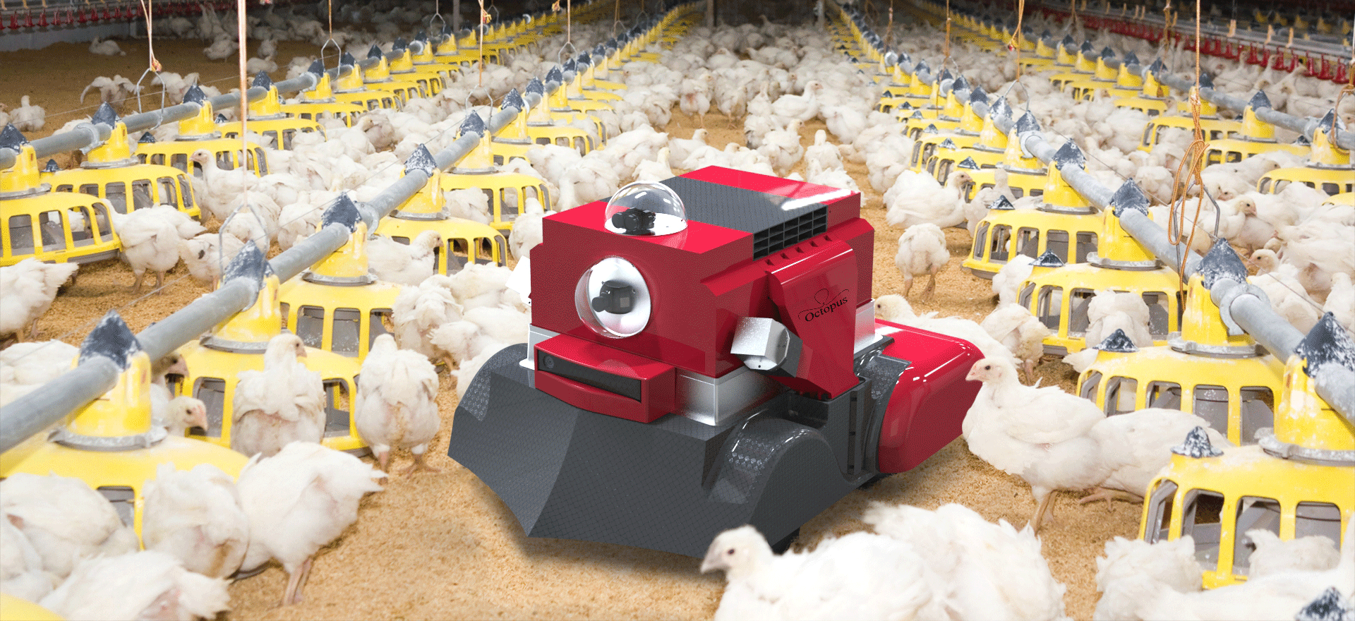 OCTOPUS POULTRY SAFE - Planete Robots