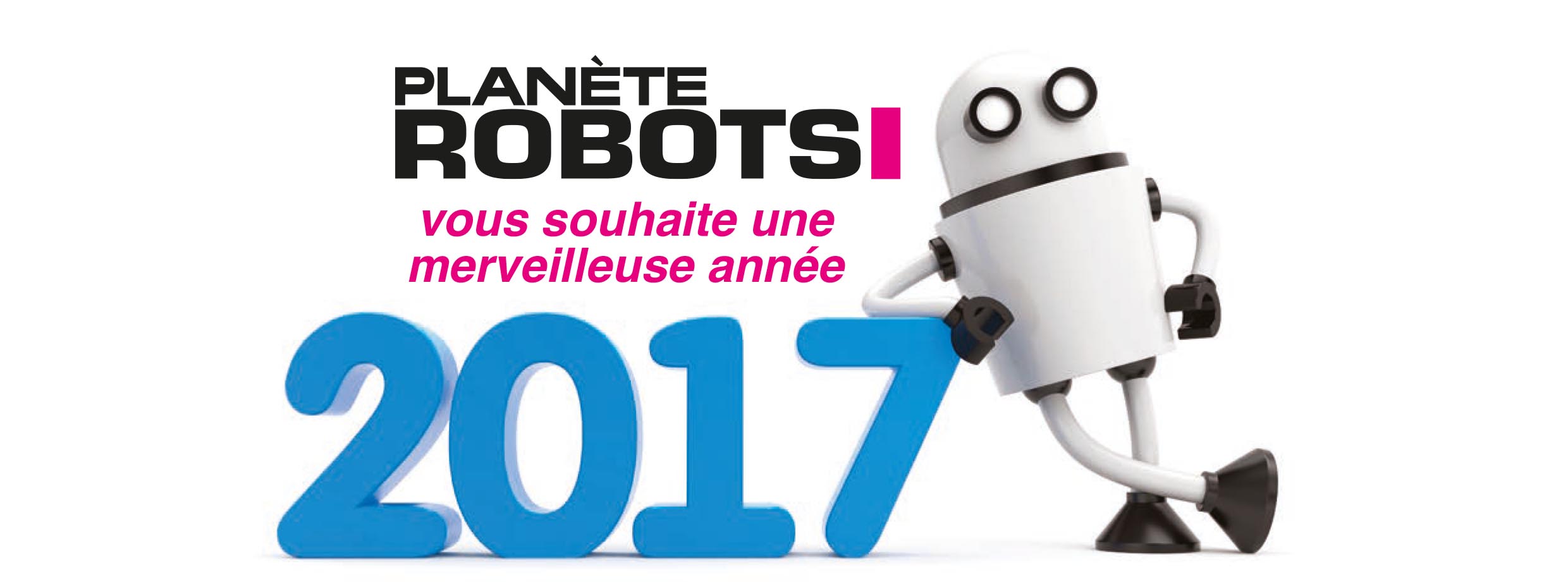 Tous nos voeux pour 2017 !