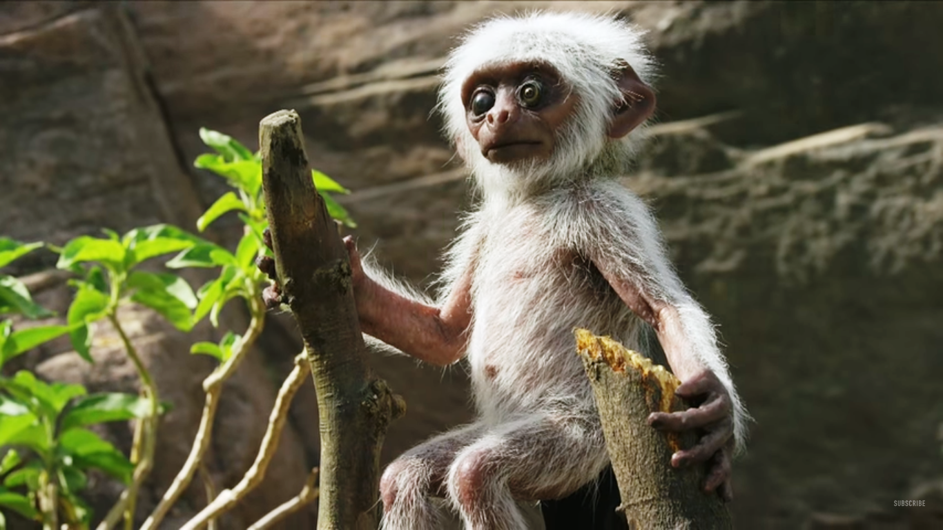 Des animatroniques au coeur de la faune pour étudier les émotions des animaux