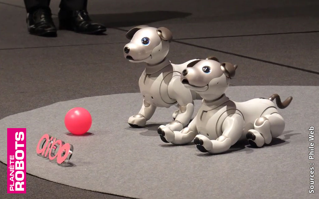 Sony dévoile son nouvel Aibo