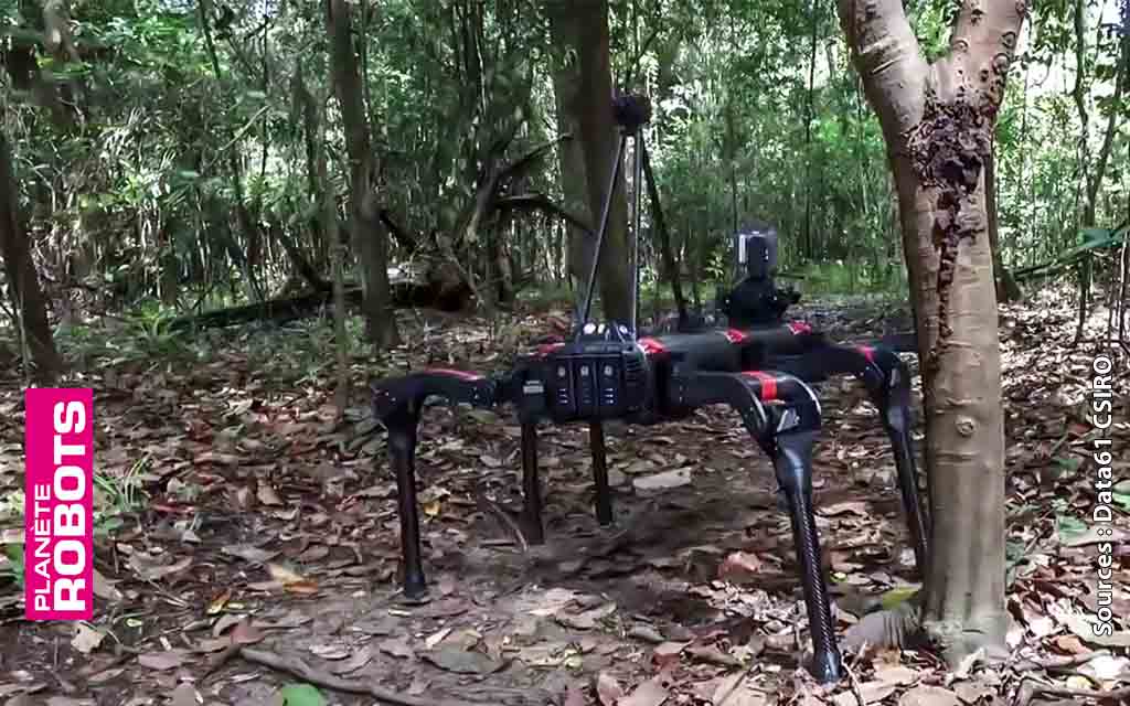 Des robots en Amazonie pour protéger plus vite la biodiversité