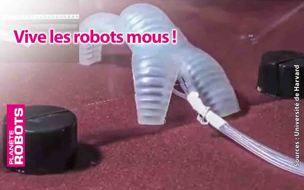 Vive les soft bots !