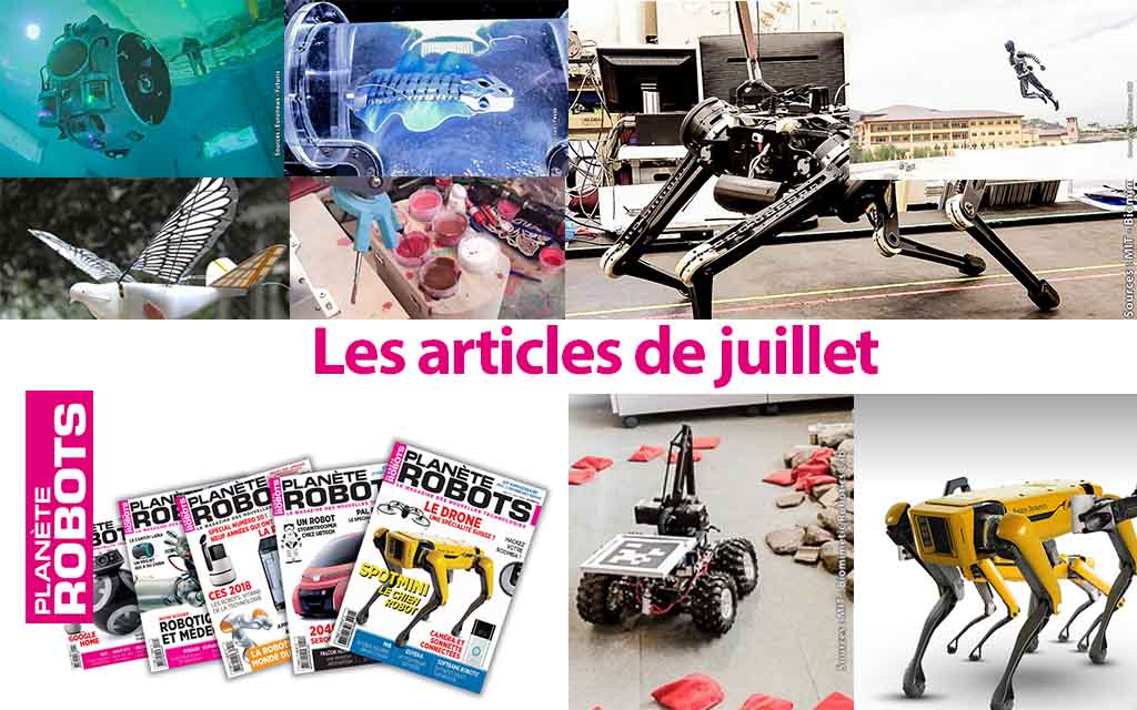 Vous les avez peut-être manqués, ce sont les articles de juillet !