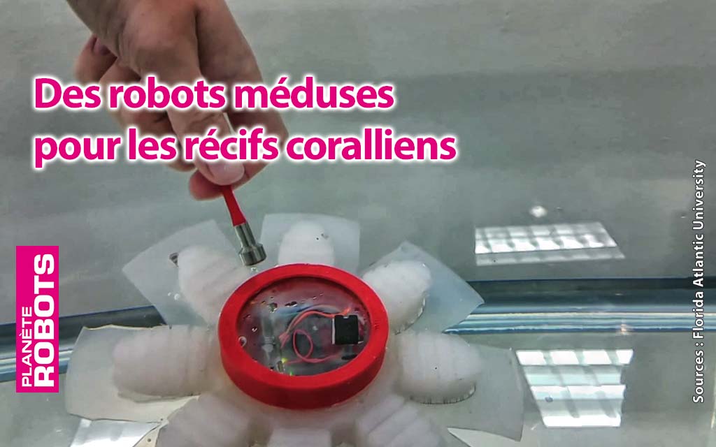 Des robots méduses pour les récifs coralliens