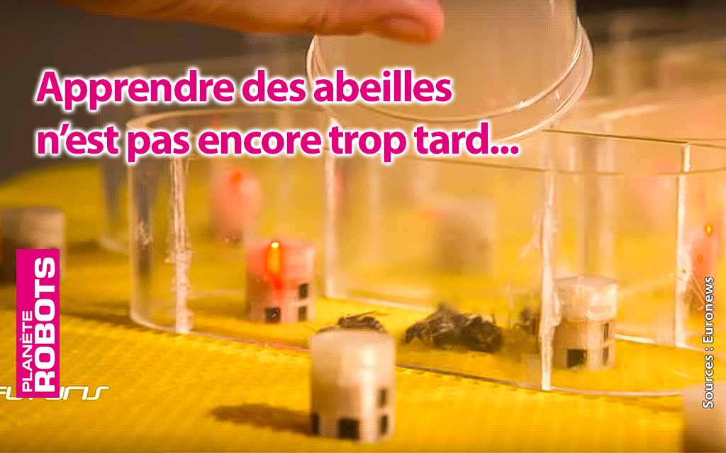 Apprendre des abeilles par des robots