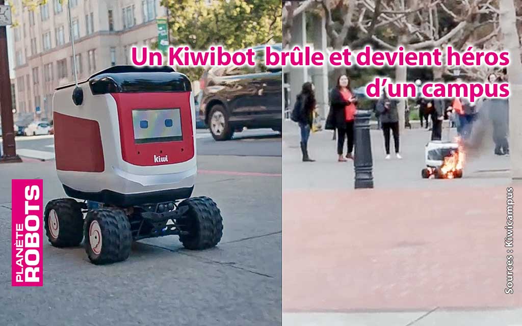 Un robot Kiwibot devient un héros à Berkeley