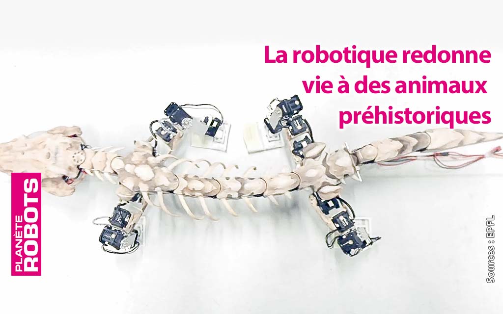 Des empreintes fossiles aux robots quadripodes