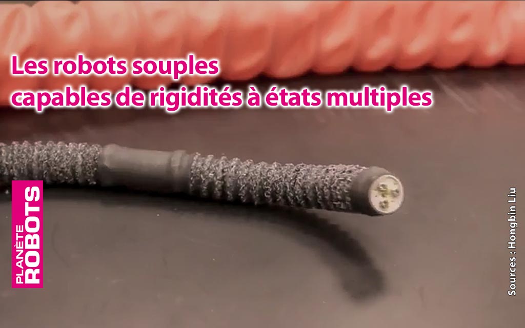 Les robots souples capables d’états multiples