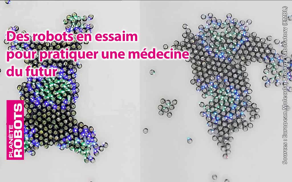 Des robots en essaim encore plus proches de la nature