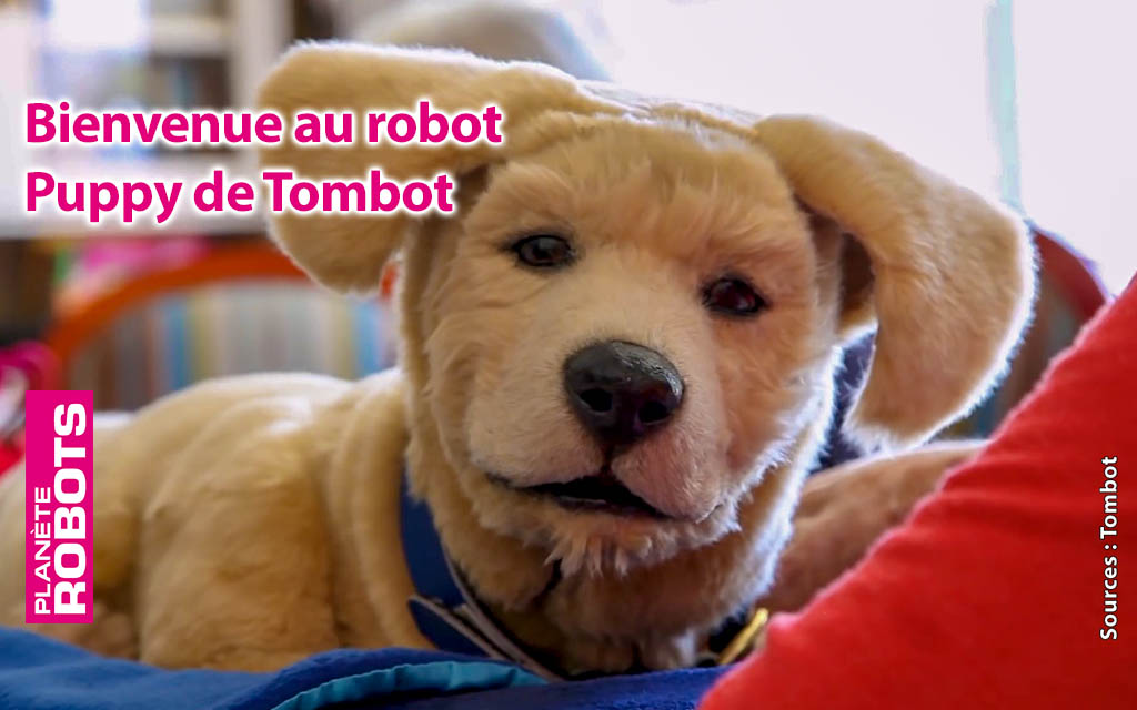 Tombot Puppy, le chien robot qui ne vous mordra jamais