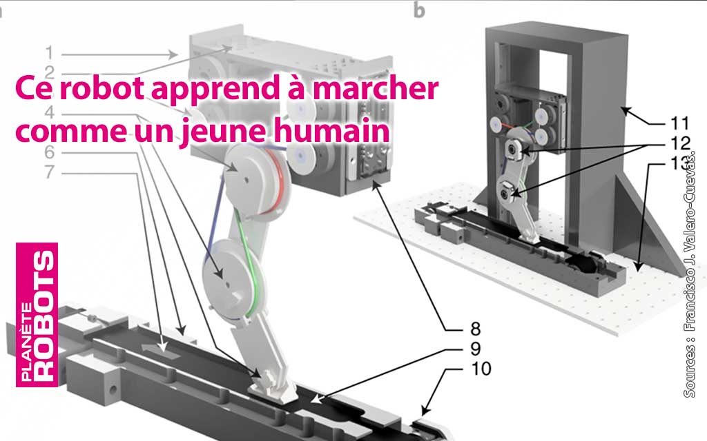 Un robot qui apprend comme un enfant