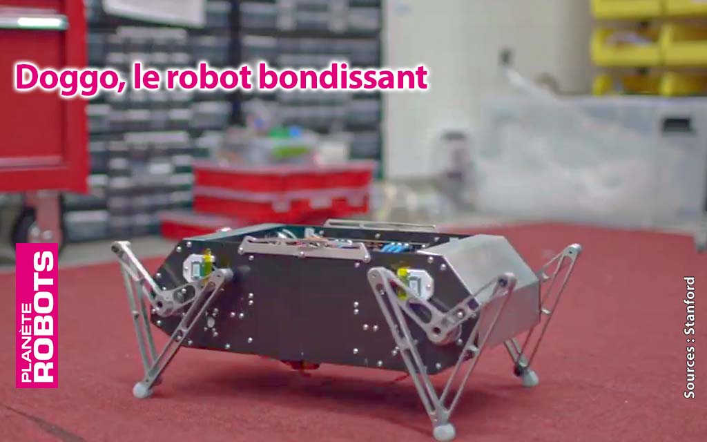 Doggo de Stanford, un robot quadrupède pour petits budgets ?