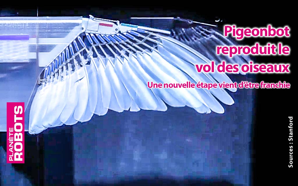 En utilisant de vraies plumes ils ont reproduit le vol réel d'un oiseau avec un robot