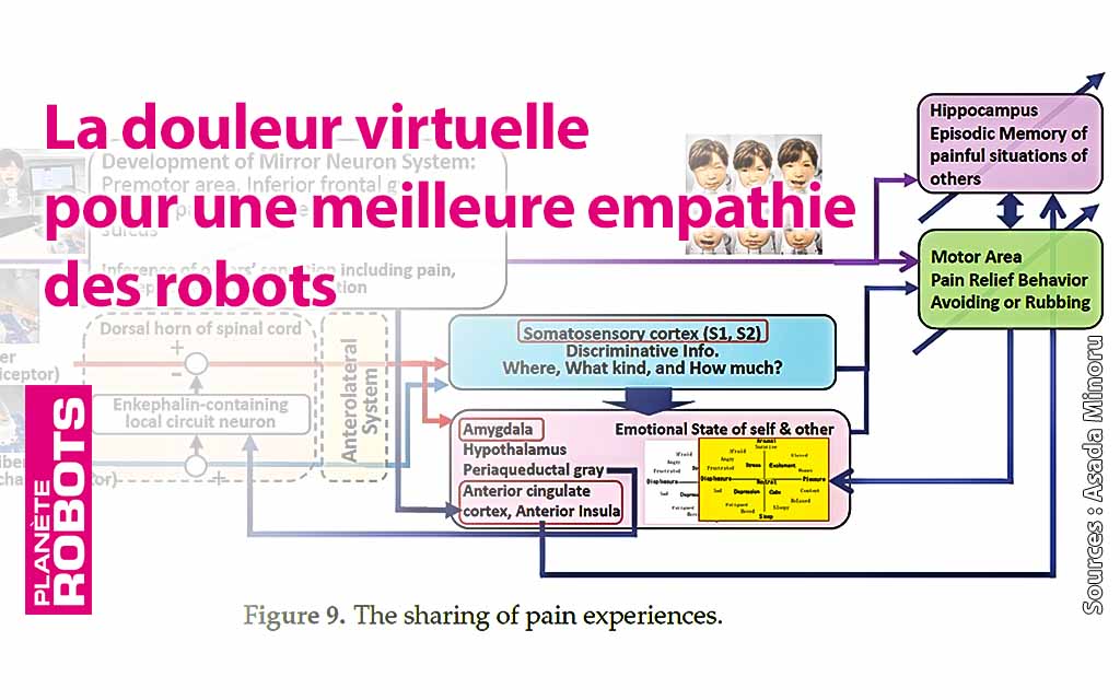 La douleur pour plus d’humanité chez nos robots