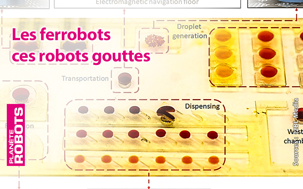 Ferrobot des robots de la taille d'une goutte d'eau