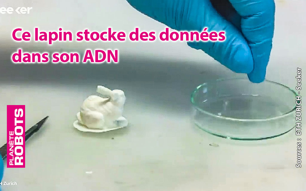 Des lapins imprimés en 3D grâce à leur G-code dans de l’ADN