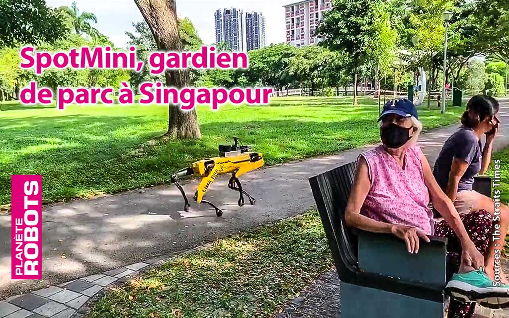 Singapour SpotMini fait une ronde dans un parc de Singapour