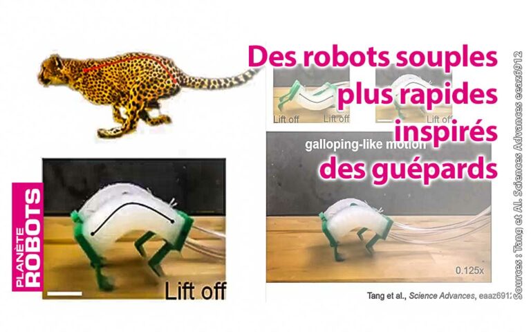 Inspirés de la souplesse de la colonne vertébrale des guépards, ces robots souples sont plus rapides