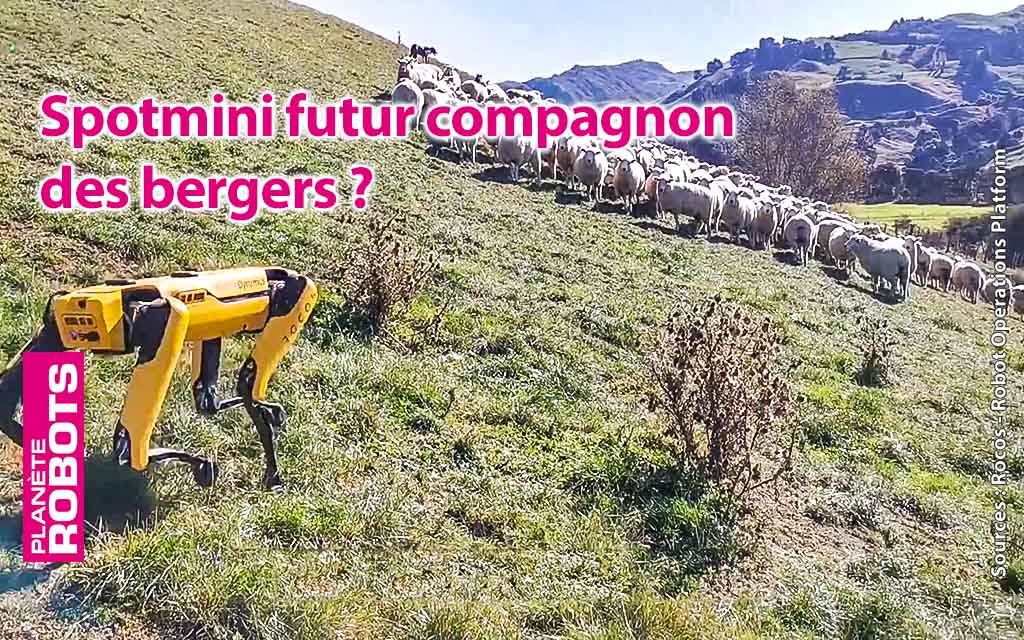 Des flottes de SpotMini au service d’agriculteurs ou d’éleveurs ?