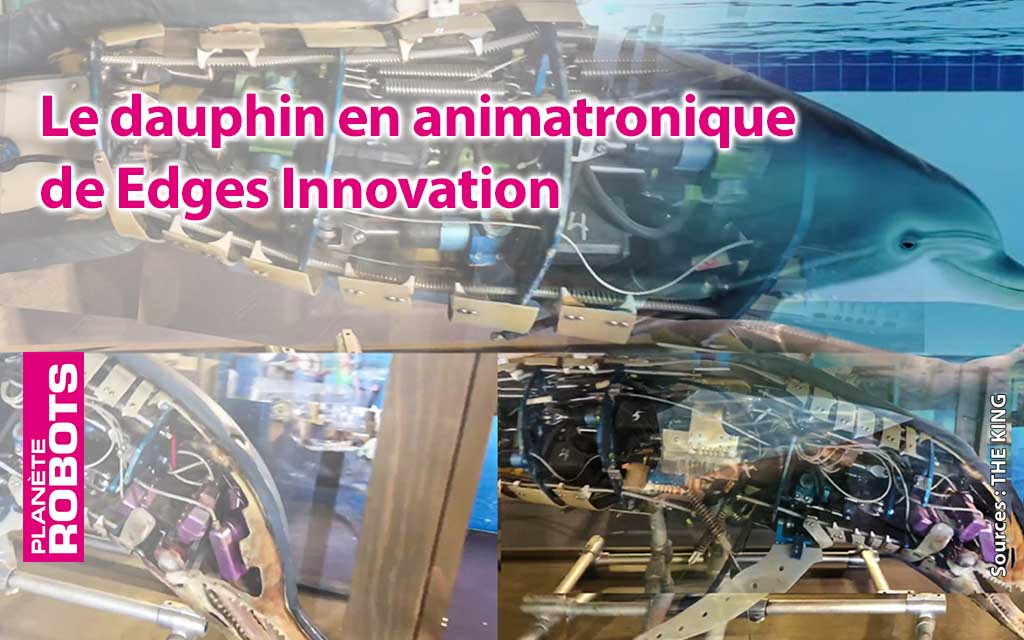 Détails techniques du dauphin robot de Edges Innovation