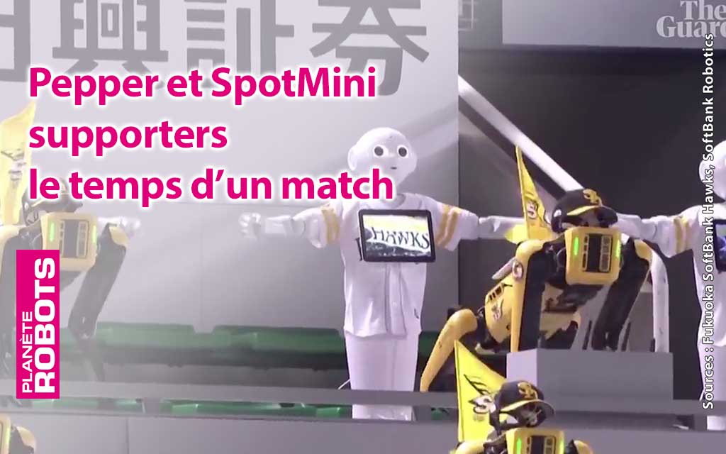 Le temps d'un match des robots sont devenus supporters d'une équipe de baseball