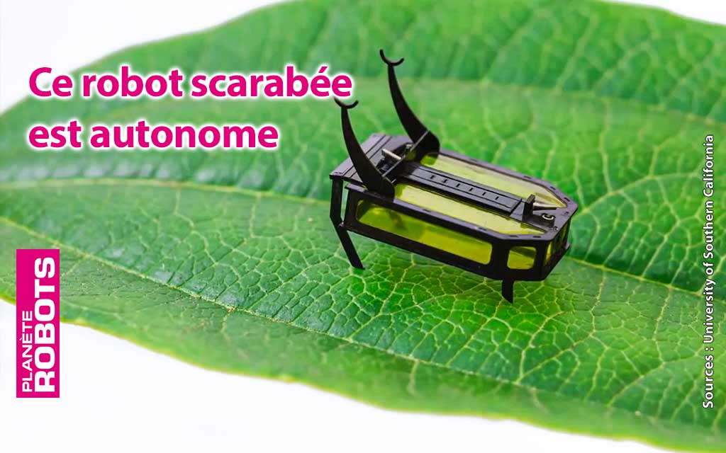 RoBeetle un robot autonome qui a presque le poids d'un véritable scarabée