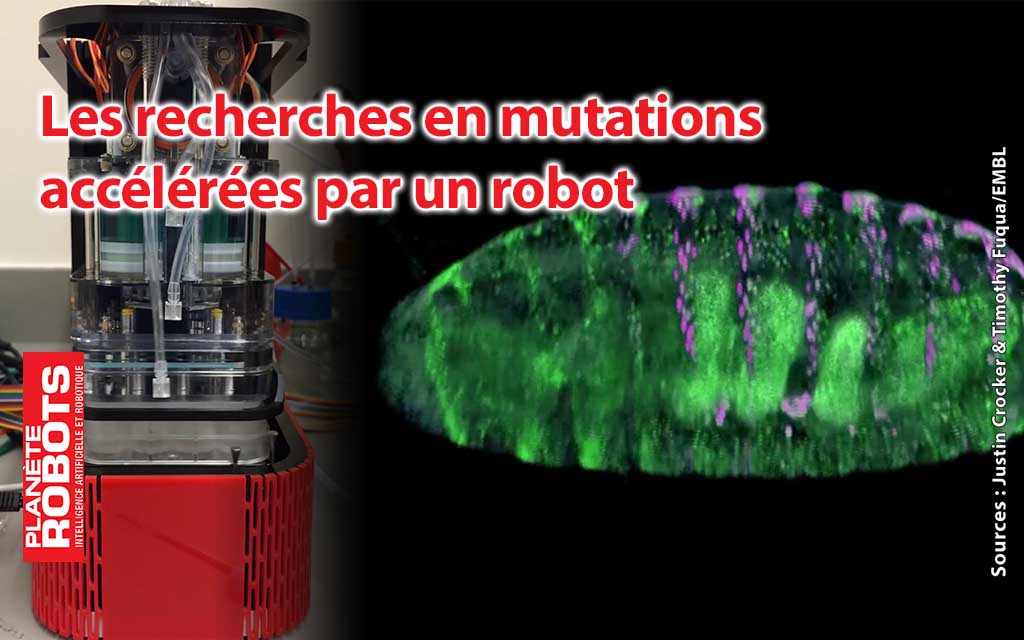 Un robot accélère l’étude des mutations des gènes