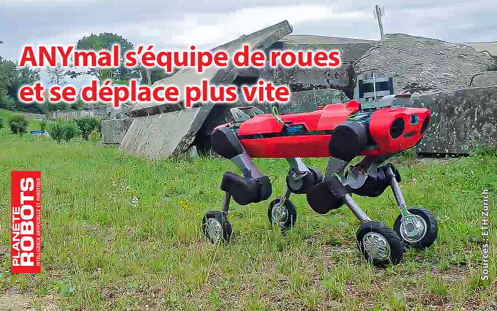 ANYmal applique la locomotion hybride