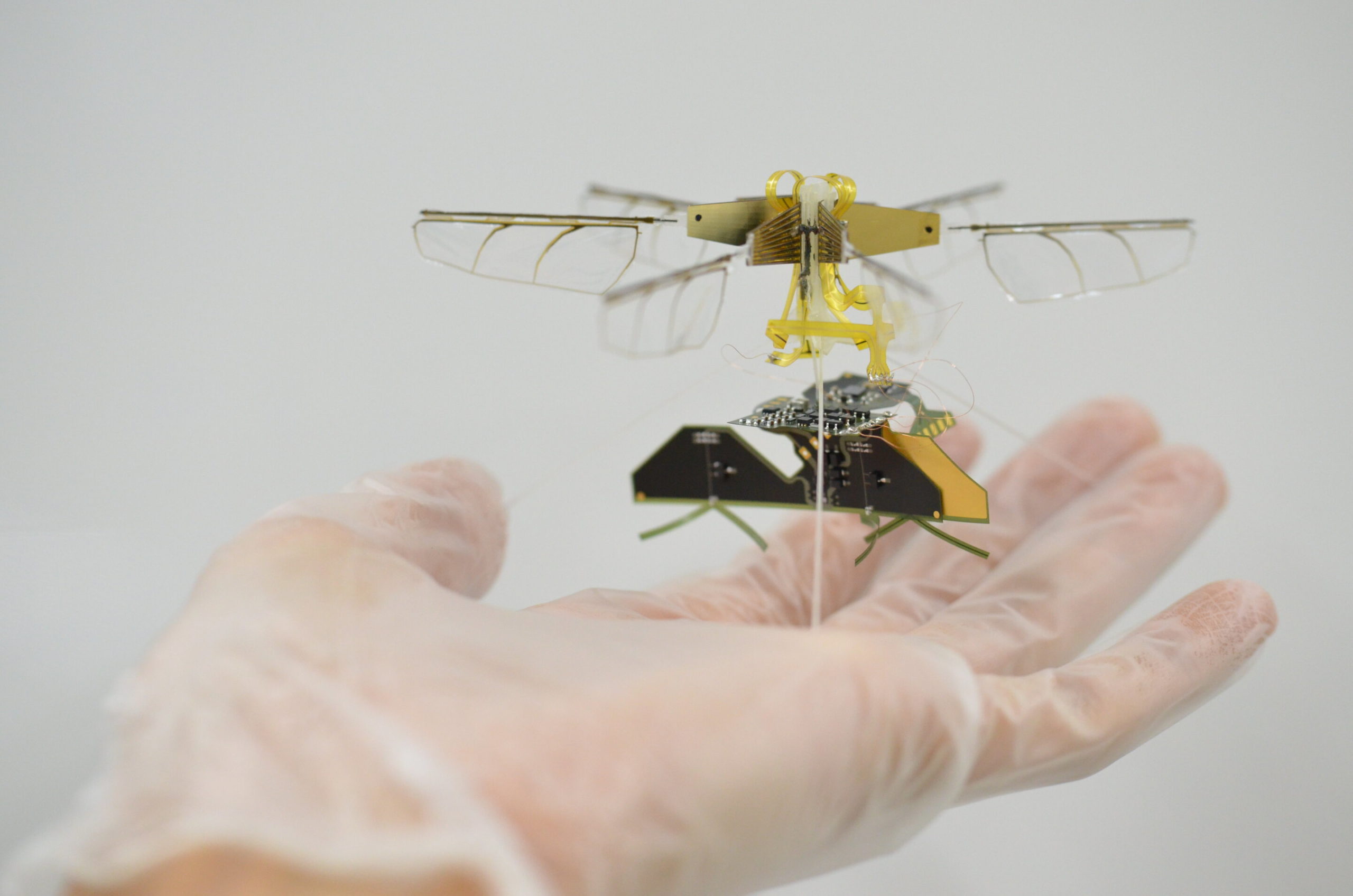 Des drones miniatures tenant dans une main