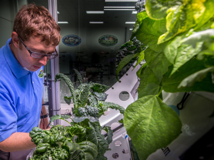 La Nasa enverra des robots jardiniers sur la lune