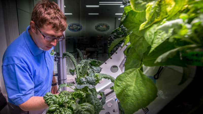 La Nasa enverra des robots jardiniers sur la lune