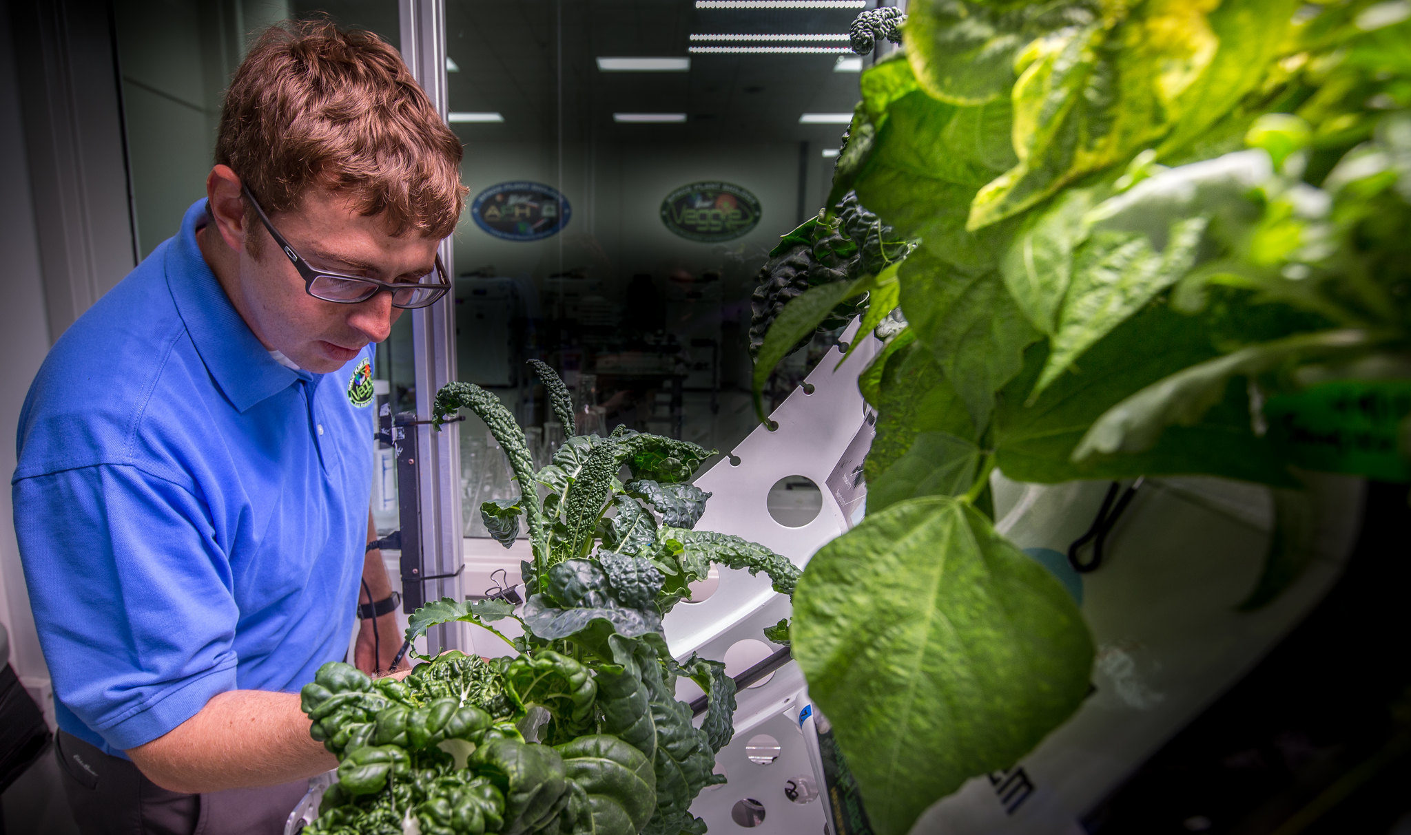 La Nasa enverra des robots jardiniers sur la lune